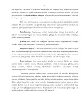 Patirtinio mokymo Lietuvoje ir užsienyje apžvalga 3 puslapis