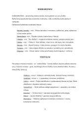 Kalbėkime taisyklingai 4 puslapis