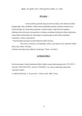 Kalbėkime taisyklingai 6 puslapis