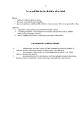 Kalbos kultūros pavyzdžiai 3 puslapis