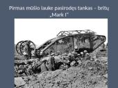 Pirmojo pasaulinio karo eiga 20 puslapis