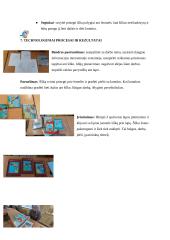 Technologijų mokyklinio brandos egzamino baigiamojo darbo aprašas. Tapyba ant šilko 10 puslapis