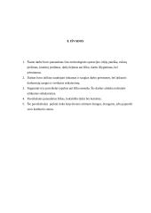 Technologijų mokyklinio brandos egzamino baigiamojo darbo aprašas. Tapyba ant šilko 11 puslapis