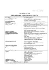 Technologijų mokyklinio brandos egzamino baigiamojo darbo aprašas. Tapyba ant šilko 2 puslapis