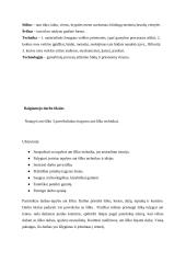 Technologijų mokyklinio brandos egzamino baigiamojo darbo aprašas. Tapyba ant šilko 4 puslapis