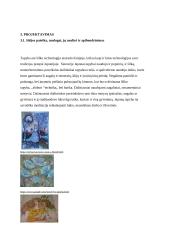 Technologijų mokyklinio brandos egzamino baigiamojo darbo aprašas. Tapyba ant šilko 5 puslapis