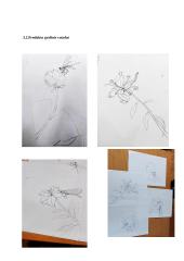 Technologijų mokyklinio brandos egzamino baigiamojo darbo aprašas. Tapyba ant šilko 7 puslapis