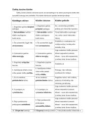 Leksikos, morfologijos klaidos, semantizmai 2 puslapis