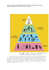 Sveikatos ir fizinio pasirengimo principai 4 puslapis