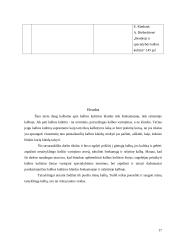 Kalbos kultūra: kultūros vadybos specialybė 17 puslapis