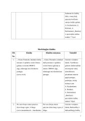 Kalbos kultūra: kultūros vadybos specialybė 7 puslapis