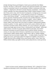 Literatūra - istorinės patirties liudijimas (kalbėjimas su planu) 3 puslapis