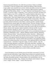 Literatūra - istorinės patirties liudijimas (kalbėjimas su planu) 4 puslapis