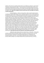 Kurėjo ir kūrybos tema literatūroje (Putinas, Aistis, H. Radauskas) 2 puslapis