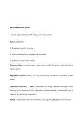  “Too big to fail”  atvejų analizė 3 puslapis