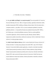  “Too big to fail”  atvejų analizė 7 puslapis