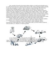 Biokuro potencialas ir naudojimas 11 puslapis