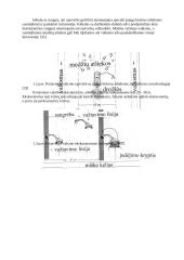 Biokuro potencialas ir naudojimas 14 puslapis