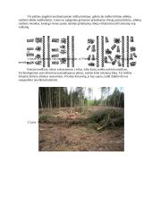 Biokuro potencialas ir naudojimas 15 puslapis