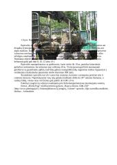 Biokuro potencialas ir naudojimas 17 puslapis