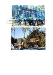 Biokuro potencialas ir naudojimas 19 puslapis