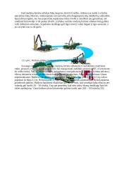 Biokuro potencialas ir naudojimas 20 puslapis