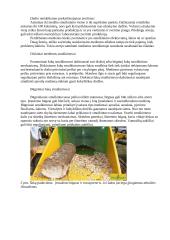 Biokuro potencialas ir naudojimas 6 puslapis