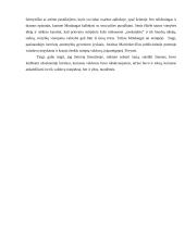 Žmogaus įsipareigojusio tėvynei, paveikslas lietuvių literatūroje 3 puslapis