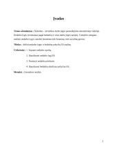 Nedarbo lygio ir bedarbių skaičiaus pokyčiai ES 2 puslapis