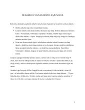 Nedarbo lygio ir bedarbių skaičiaus pokyčiai ES 4 puslapis