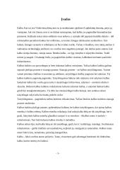 Kalba, kalbos kultūros klaidos 2 puslapis