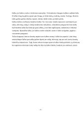Kalba, kalbos kultūros klaidos 3 puslapis