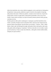 Kalba, kalbos kultūros klaidos 10 puslapis