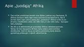 “Juodosios” Afrikos kultūros sritis 3 puslapis