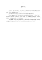 Kalbos kultūros klaidų apibendrinimas 2 puslapis