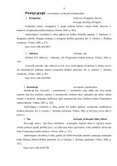 Kalbos kultūros klaidų apibendrinimas 3 puslapis