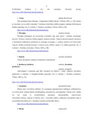 Kalbos kultūros klaidų apibendrinimas 5 puslapis