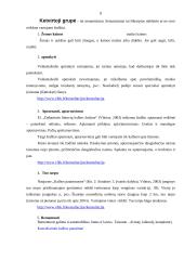 Kalbos kultūros klaidų apibendrinimas 7 puslapis