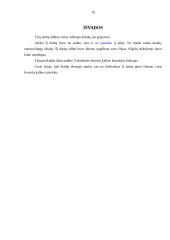 Kalbos kultūros klaidų apibendrinimas 9 puslapis