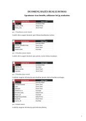 Duomenų bazė (Draudimo įmonė) 3 puslapis