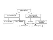 Maitinimo šaltiniai (skaidrės) 2 puslapis