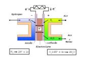 Maitinimo šaltiniai (skaidrės) 20 puslapis