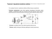 Maitinimo šaltiniai (skaidrės) 10 puslapis