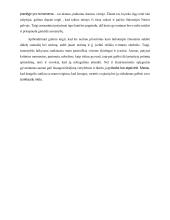 Skirtinga žmogaus laikysena ir skirtingi pasirinkimai ribinėje situacijoje. Kalba su planu 3 puslapis