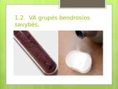 VA grupės elementai. Azotas ir jo deguoniniai junginiai 5 puslapis