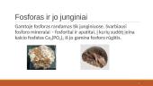 Fosforas ir jo junginiai 2 puslapis