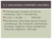 Bendrosios halogenų charakteristikos ir halogenai gamtoje 10 puslapis