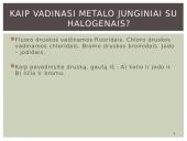 Bendrosios halogenų charakteristikos ir halogenai gamtoje 11 puslapis