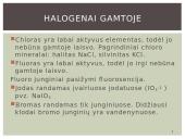 Bendrosios halogenų charakteristikos ir halogenai gamtoje 17 puslapis