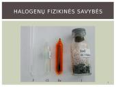 Bendrosios halogenų charakteristikos ir halogenai gamtoje 8 puslapis